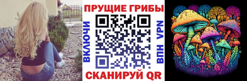 Галлюциногенные грибы Psilocybine cubensis магазин Сенгилей